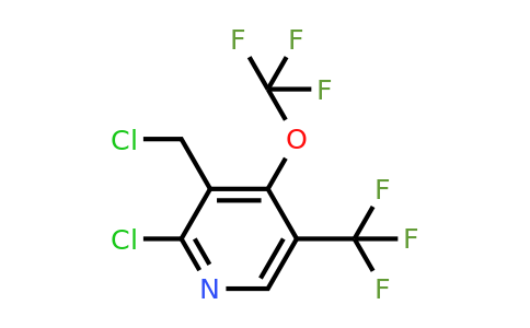 2-Chloro-3-(chloromethyl)-4-(trifluoromethoxy)-5-(trifluoromethyl)pyridine