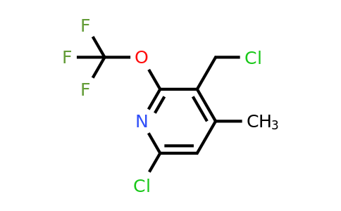 6-Chloro-3-(chloromethyl)-4-methyl-2-(trifluoromethoxy)pyridine