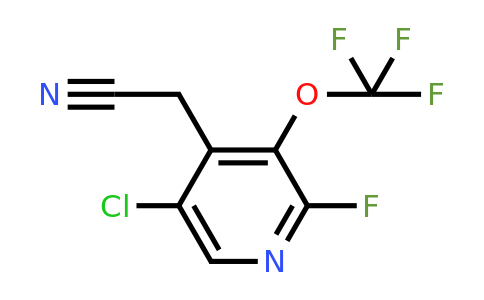 1804637-21-5 | 5-Chloro-2-fluoro-3-(trifluoromethoxy)pyridine-4-acetonitrile