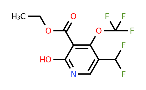 1804647-72-0 | Ethyl 5-(difluoromethyl)-2-hydroxy-4-(trifluoromethoxy)pyridine-3-carboxylate