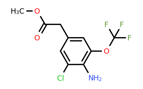 1804868-50-5 | Methyl 4-amino-3-chloro-5-(trifluoromethoxy)phenylacetate