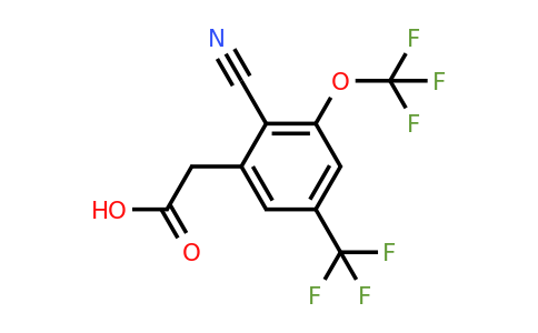 1804884-15-8 | 2-Cyano-3-trifluoromethoxy-5-(trifluoromethyl)phenylacetic acid