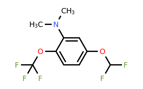 1804885-93-5 | 1-Difluoromethoxy-3-dimethylamino-4-(trifluoromethoxy)benzene