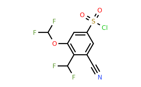 1804893-41-1 | 3-Cyano-5-difluoromethoxy-4-(difluoromethyl)benzenesulfonylchloride