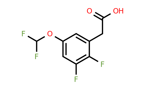 1804897-16-2 | 2,3-Difluoro-5-(difluoromethoxy)phenylacetic acid