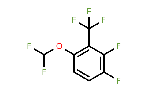 1804909-89-4 | 2,3-Difluoro-6-(difluoromethoxy)benzotrifluoride