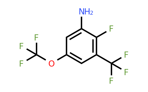 1805019-96-8 | 2-Fluoro-5-trifluoromethoxy-3-(trifluoromethyl)aniline