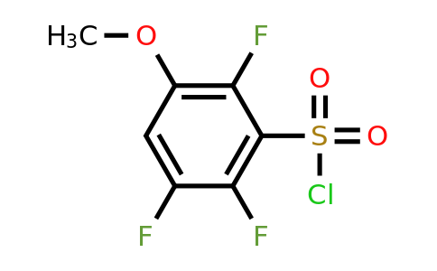 1805032-31-8 | 3-Methoxy-2,5,6-trifluorobenzenesulfonylchloride