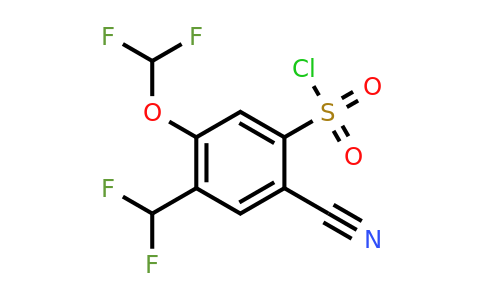 1805036-46-7 | 2-Cyano-5-difluoromethoxy-4-(difluoromethyl)benzenesulfonylchloride