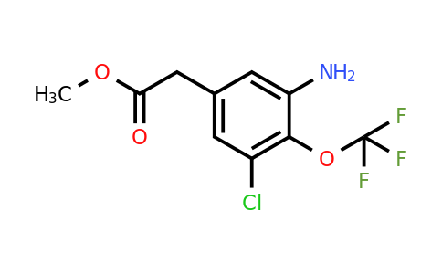 1805075-56-2 | Methyl 3-amino-5-chloro-4-(trifluoromethoxy)phenylacetate