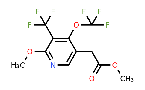 1805102-85-5 | Methyl 2-methoxy-4-(trifluoromethoxy)-3-(trifluoromethyl)pyridine-5-acetate