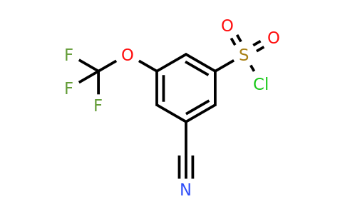 1805120-27-7 | 3-Cyano-5-(trifluoromethoxy)benzenesulfonylchloride