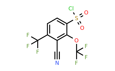 1805120-53-9 | 3-Cyano-2-trifluoromethoxy-4-(trifluoromethyl)benzenesulfonylchloride