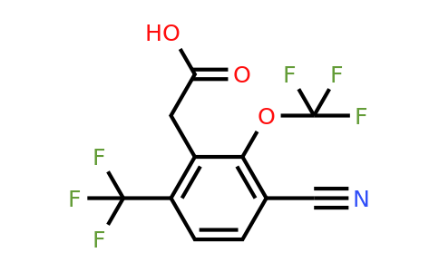 1805120-81-3 | 3-Cyano-2-trifluoromethoxy-6-(trifluoromethyl)phenylacetic acid