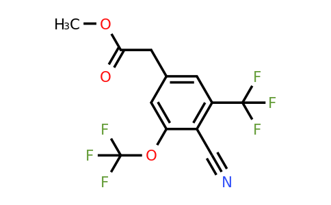 1805120-88-0 | Methyl 4-cyano-3-trifluoromethoxy-5-(trifluoromethyl)phenylacetate