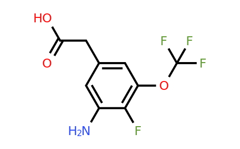 1805125-21-6 | 3-Amino-4-fluoro-5-(trifluoromethoxy)phenylacetic acid