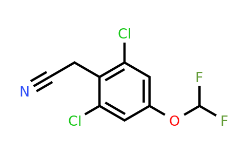 1805125-92-1 | 2,6-Dichloro-4-(difluoromethoxy)phenylacetonitrile