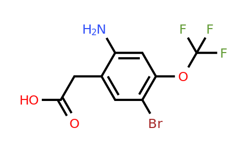 1805128-04-4 | 2-Amino-5-bromo-4-(trifluoromethoxy)phenylacetic acid