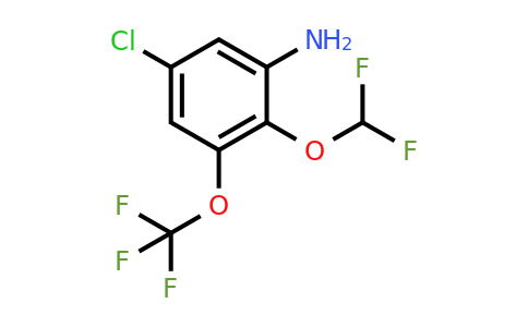 1805222-48-3 | 5-Chloro-2-difluoromethoxy-3-(trifluoromethoxy)aniline