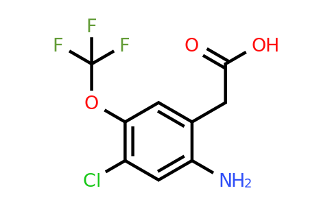 1805266-05-0 | 2-Amino-4-chloro-5-(trifluoromethoxy)phenylacetic acid