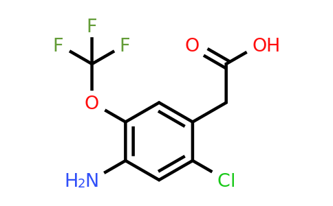 1805454-08-3 | 4-Amino-2-chloro-5-(trifluoromethoxy)phenylacetic acid