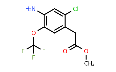 1805454-79-8 | Methyl 4-amino-2-chloro-5-(trifluoromethoxy)phenylacetate