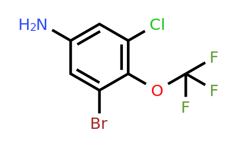 1805486-55-8 | 3-Bromo-5-chloro-4-(trifluoromethoxy)aniline