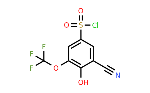 1805493-57-5 | 3-Cyano-4-hydroxy-5-(trifluoromethoxy)benzenesulfonylchloride
