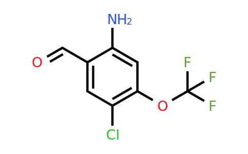 1805514-35-5 | 2-Amino-5-chloro-4-(trifluoromethoxy)benzaldehyde