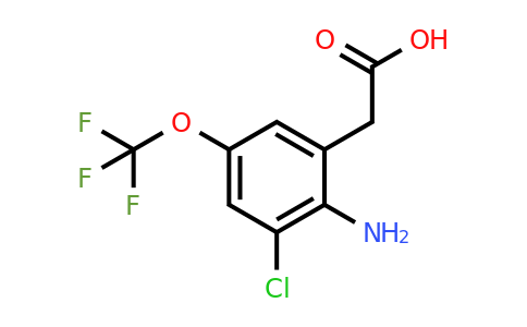 1805515-51-8 | 2-Amino-3-chloro-5-(trifluoromethoxy)phenylacetic acid