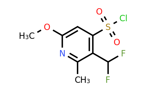 3-(Difluoromethyl)-6-methoxy-2-methylpyridine-4-sulfonyl chloride