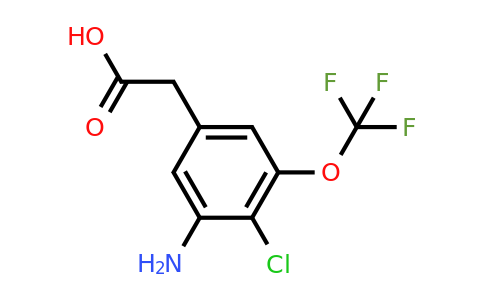 1805558-59-1 | 3-Amino-4-chloro-5-(trifluoromethoxy)phenylacetic acid