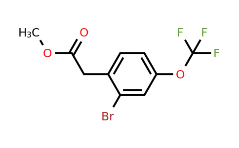 1805569-15-6 | Methyl 2-bromo-4-(trifluoromethoxy)phenylacetate