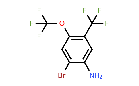 1805569-24-7 | 2-Bromo-4-trifluoromethoxy-5-(trifluoromethyl)aniline