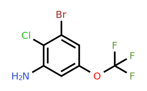 1805577-14-3 | 3-Bromo-2-chloro-5-(trifluoromethoxy)aniline