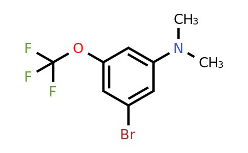 1805594-28-8 | 1-Bromo-3-dimethylamino-5-(trifluoromethoxy)benzene