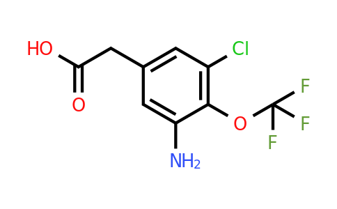 1805618-56-7 | 3-Amino-5-chloro-4-(trifluoromethoxy)phenylacetic acid