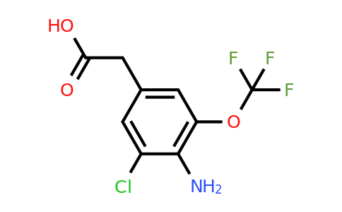 1805618-69-2 | 4-Amino-3-chloro-5-(trifluoromethoxy)phenylacetic acid