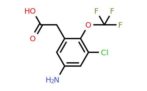 1805618-79-4 | 5-Amino-3-chloro-2-(trifluoromethoxy)phenylacetic acid