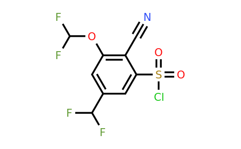 1805626-05-4 | 2-Cyano-3-difluoromethoxy-5-(difluoromethyl)benzenesulfonylchloride