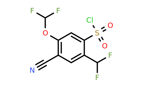 1805626-19-0 | 4-Cyano-5-difluoromethoxy-2-(difluoromethyl)benzenesulfonylchloride