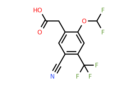 1805631-65-5 | 5-Cyano-2-difluoromethoxy-4-(trifluoromethyl)phenylacetic acid