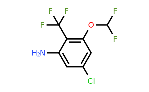1805637-40-4 | 5-Chloro-3-difluoromethoxy-2-(trifluoromethyl)aniline