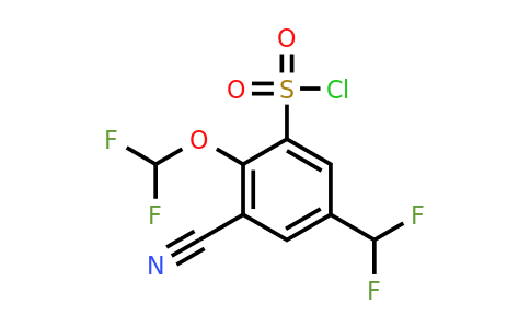 1805657-70-8 | 3-Cyano-2-difluoromethoxy-5-(difluoromethyl)benzenesulfonylchloride