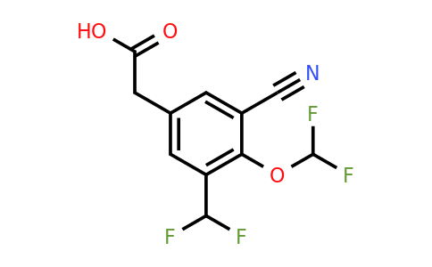 1805659-17-9 | 3-Cyano-4-difluoromethoxy-5-(difluoromethyl)phenylacetic acid