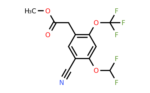 1805660-62-1 | Methyl 5-cyano-4-difluoromethoxy-2-(trifluoromethoxy)phenylacetate
