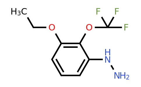1805687-35-7 | 1-(3-Ethoxy-2-(trifluoromethoxy)phenyl)hydrazine