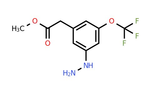 1805697-28-2 | Methyl 3-hydrazinyl-5-(trifluoromethoxy)phenylacetate
