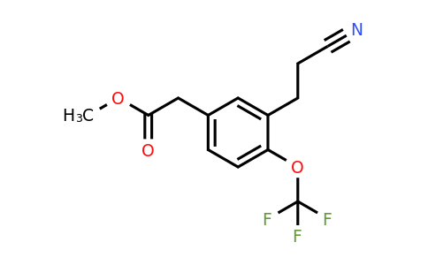 1805697-32-8 | Methyl 3-(2-cyanoethyl)-4-(trifluoromethoxy)phenylacetate
