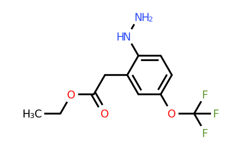 1805697-45-3 | Ethyl 2-hydrazinyl-5-(trifluoromethoxy)phenylacetate